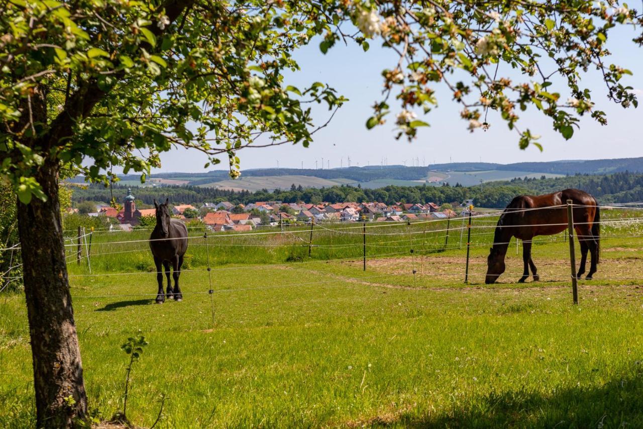 Apartmán Pferdehof Bischof Wertheim Exteriér fotografie